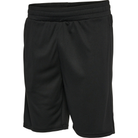 HUMMEL  Шорцеви HML TE FLEX MESH SHORTS ЗА МАЖИ