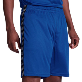 HUMMEL  Шорцеви HMLAUTHENTIC PL SHORTS ЗА МАЖИ
